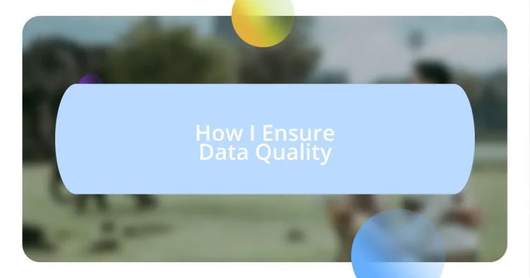 How I Ensure Data Quality